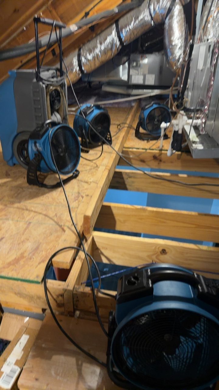 Attic drying setup with multiple air movers and a dehumidifier processing moisture from an HVAC system leak